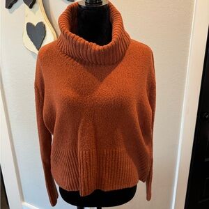 Rachel Zoe Rust Cowl Neck Sweater